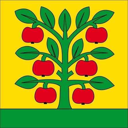 Grossaffoltern flag
