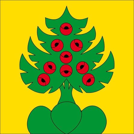 Heimiswil flag