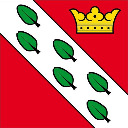 Herzogenbuchsee flag
