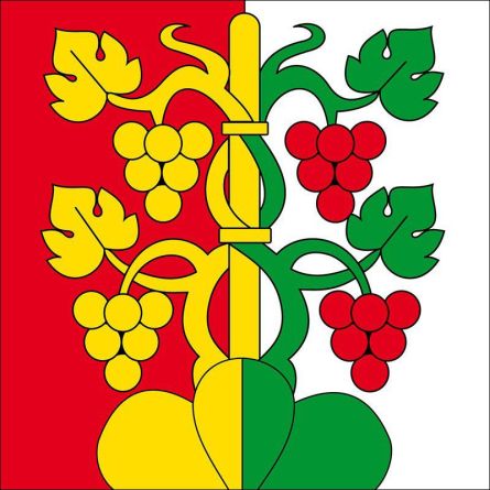 Hilterfingen flag