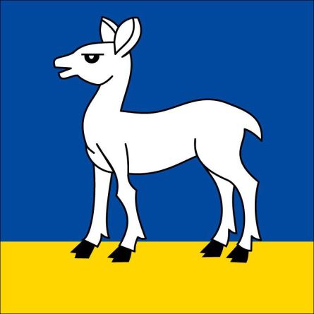 Hindelbank flag