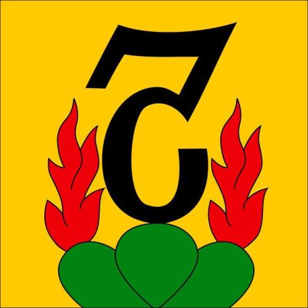 Kiesen flag