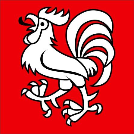 Koppigen flag