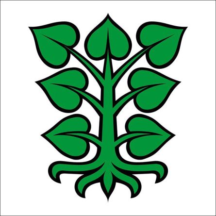 Laupen flag