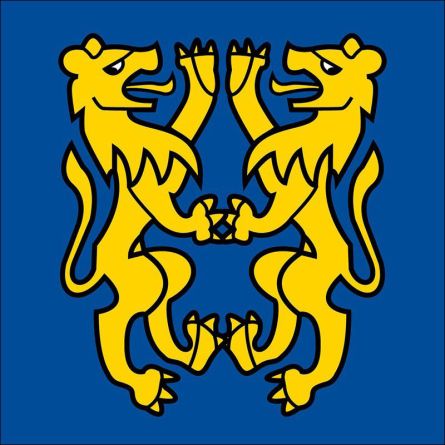 Leuzigen flag
