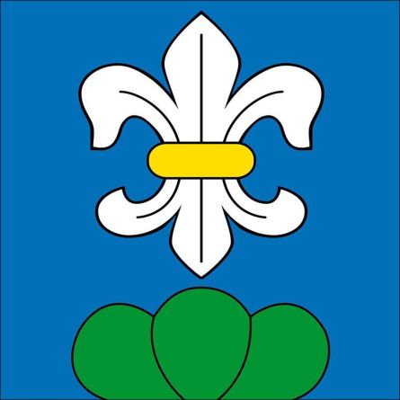 Lyss flag