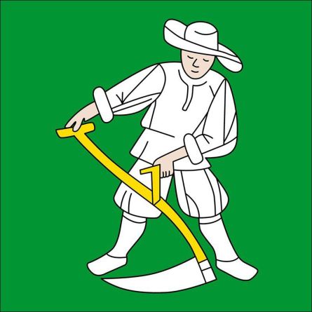 Madiswil flag