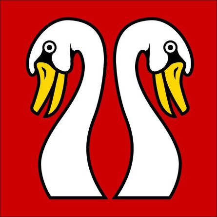 Mattstetten flag