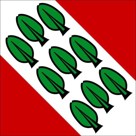 Münchenbuchsee flag