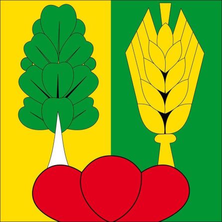 Müntschemier flag