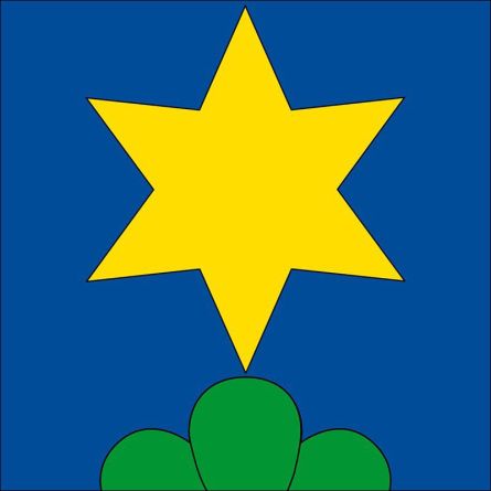 Neuenegg flag