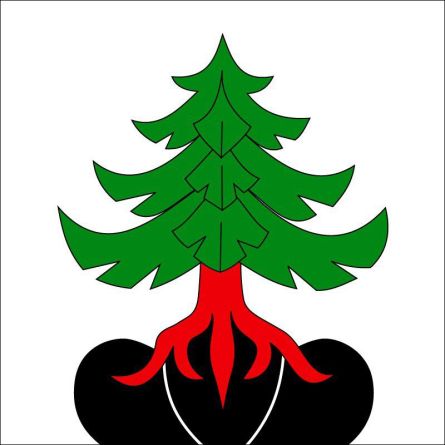 Pohlern flag