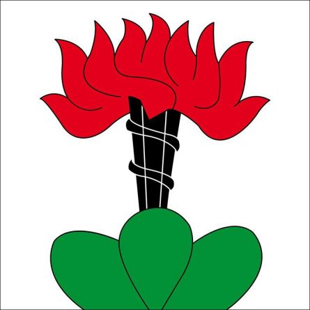 Reisiswil flag