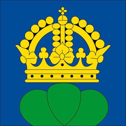 Riggisberg flag