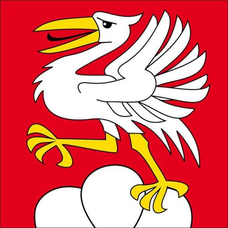 Saanen flag