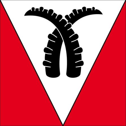 Saxeten flag