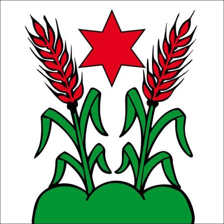 Sorvilier flag