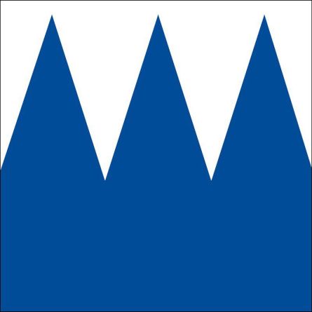 Spiez flag