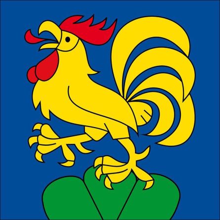 Tavannes flag