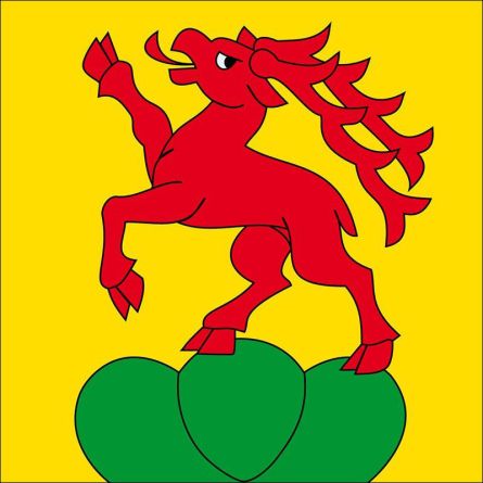 Thierachern flag