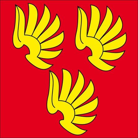 Wattenwil flag