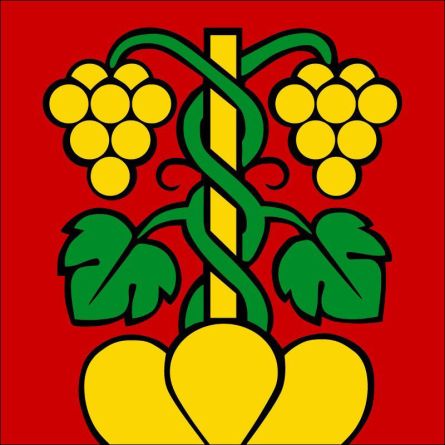 Wileroltigen flag
