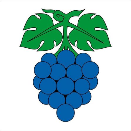 Wynau flag