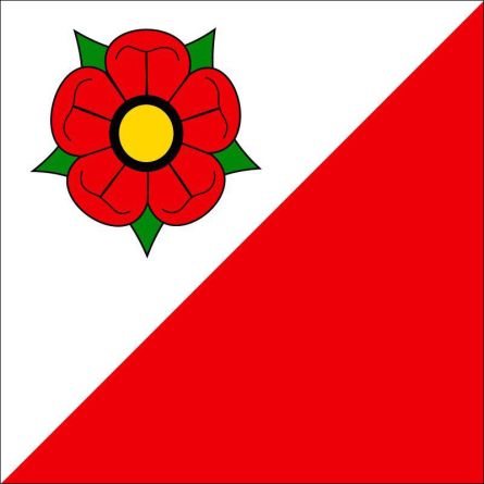 Wynigen flag