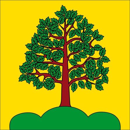 Belfaux flag