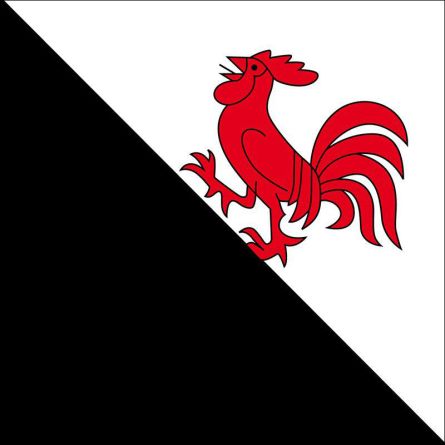 Châtonnaye flag