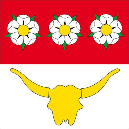 Düdingen flag