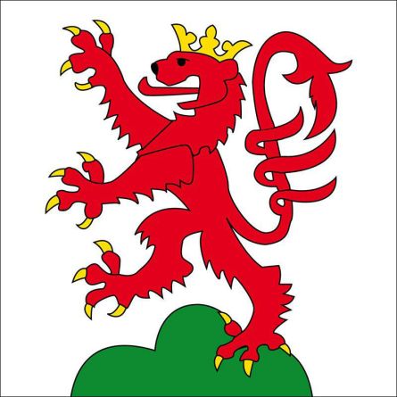 Murten flag