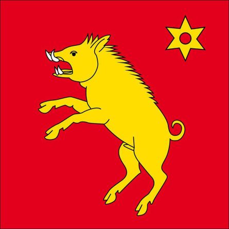 Ménières flag