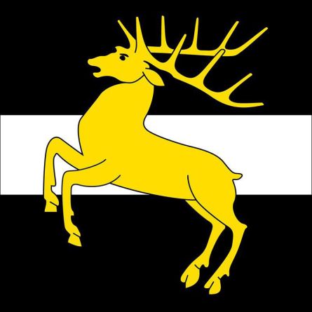 Plasselb flag
