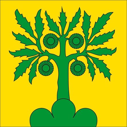 Castaneda flag
