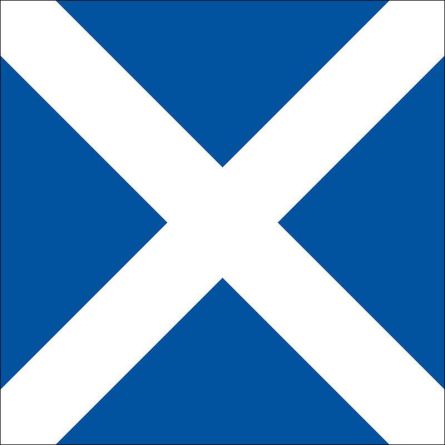 Disentis Mustér flag