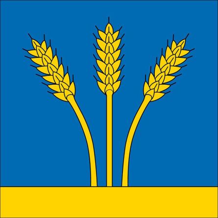 Fläsch flag