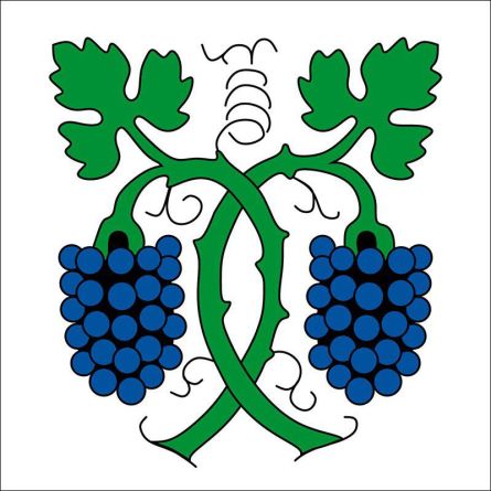 Jenins flag