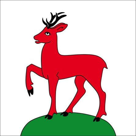Masein flag
