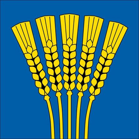 S Chanf flag