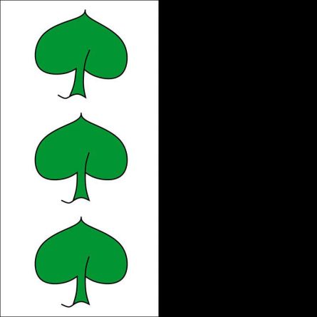 Scharans flag