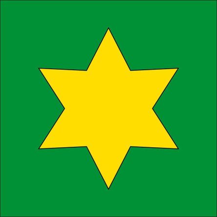 Tamins flag