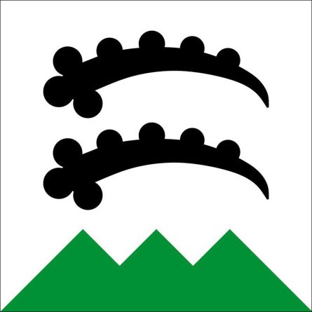 Trimmis flag