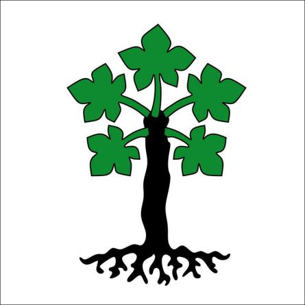 Trun flag