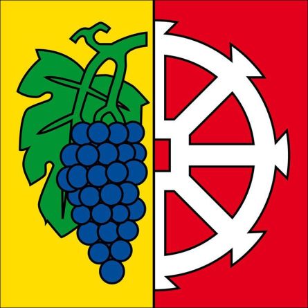 Beringen flag