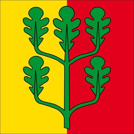 Hemishofen flag