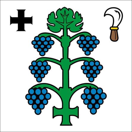Trasadingen flag