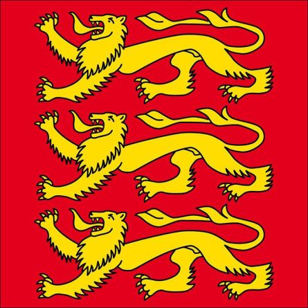 Freienbach flag