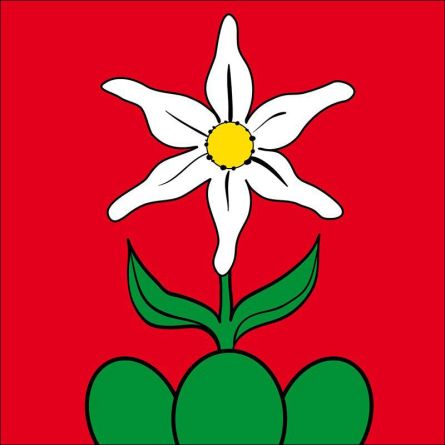 Illgau flag