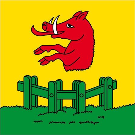 Morschach flag